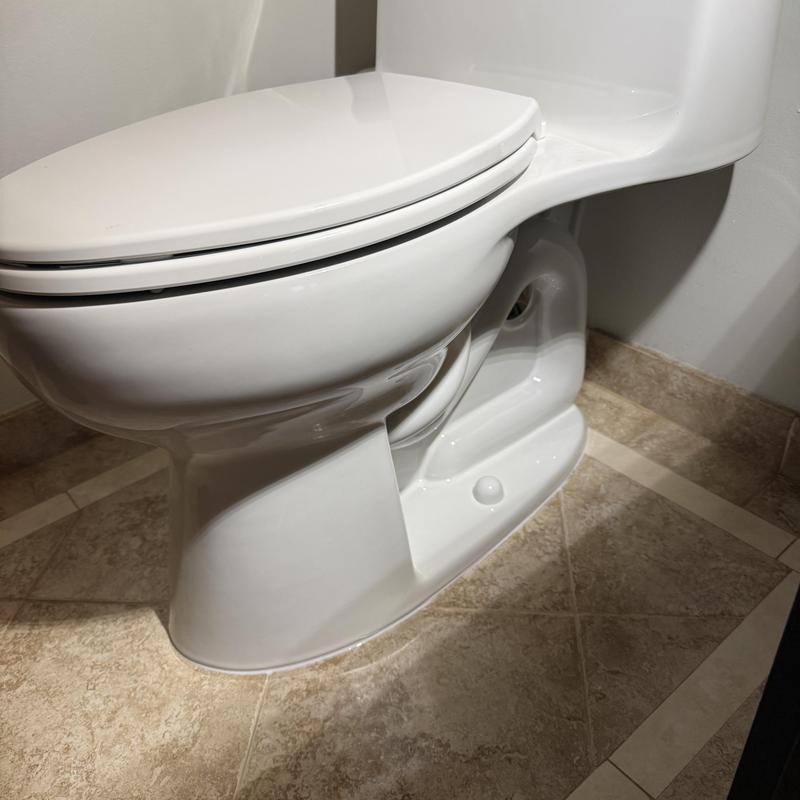 Toilet Installation in Sunnyside photo 3