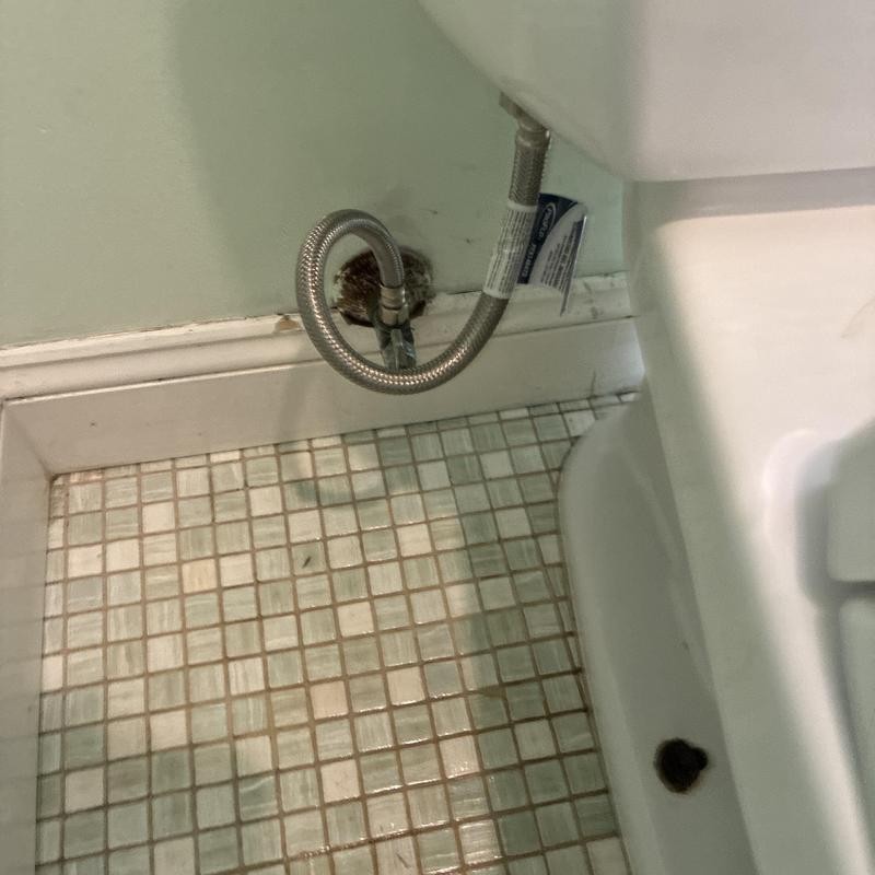 Toilet Installation in Cole Valley photo 1