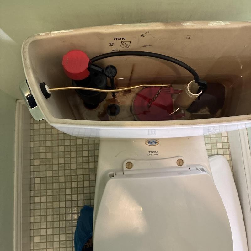 Toilet Installation in Cole Valley photo 2
