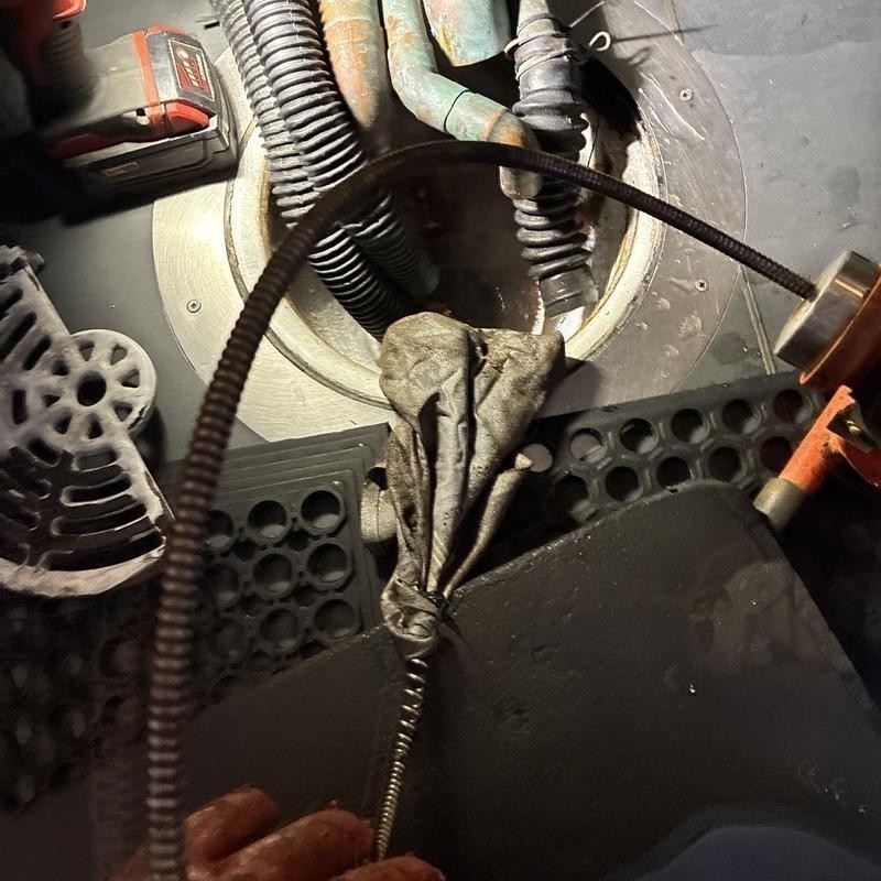 Toilet Repair and Drain Cleaning in South Beach photo 3