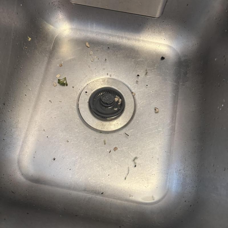 Garbage Disposal Replacement in Duboce Triangle photo 1