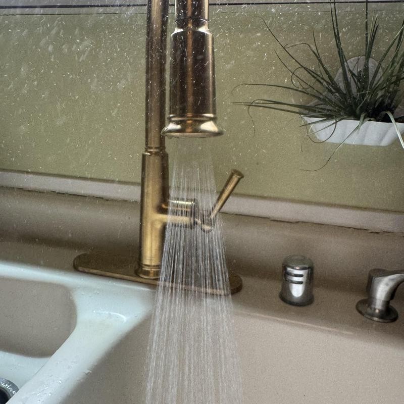 Kitchen Faucet Installation in Cole Valley photo 2