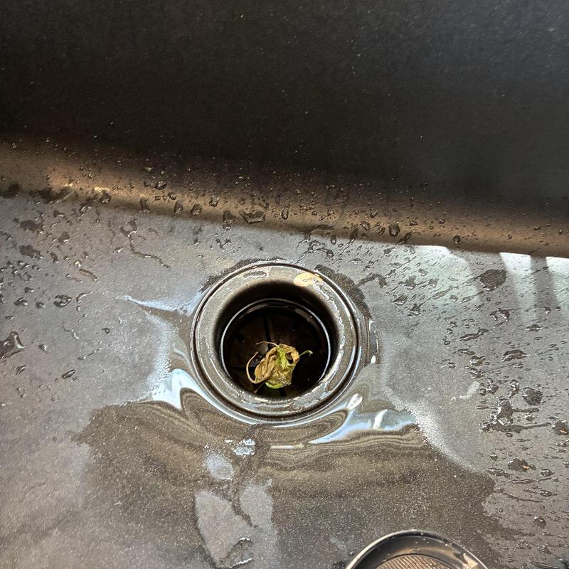 Technician inspecting cleanout and plumbing pipes in San Francisco