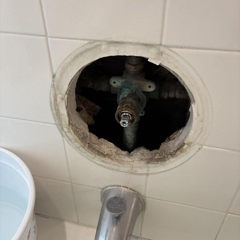 Shower Faucet Repair in Pacific Heights photo 1
