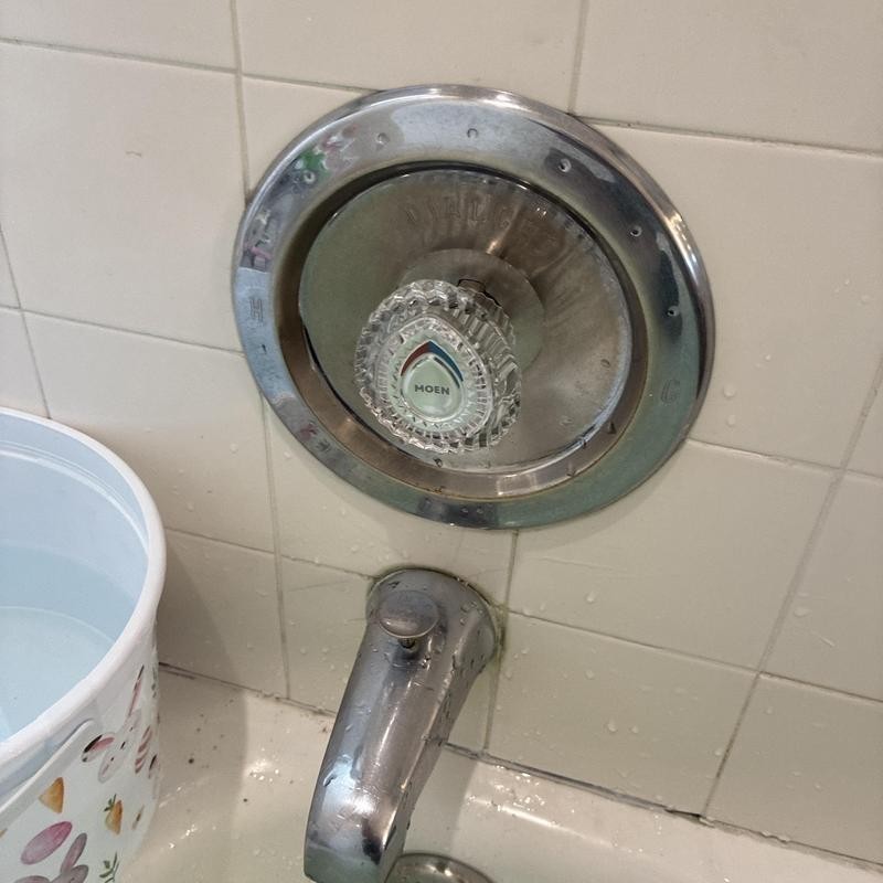 Shower Faucet Repair in Pacific Heights photo 2