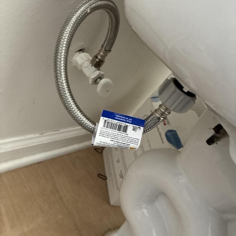 Toilet Repair and Drain Cleaning in Western Addition photo 1