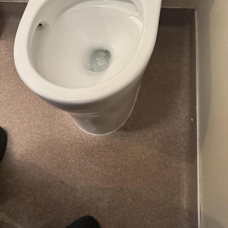 Drain Cleaning in San Francisco, CA