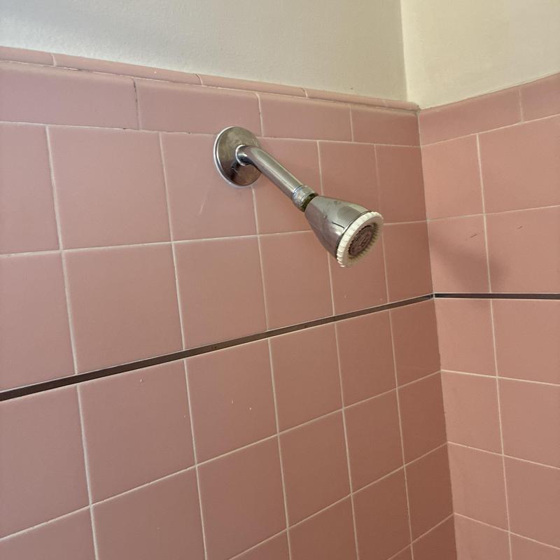 Technician inspecting cleanout and plumbing pipes in San Francisco