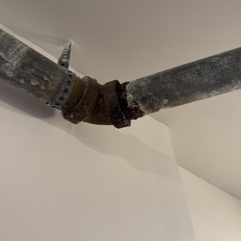 Drain Line Replacement in Richmond District photo 1