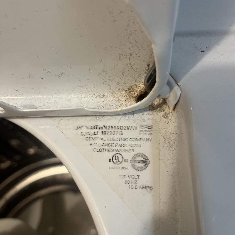 Technician inspecting cleanout and plumbing pipes in San Francisco