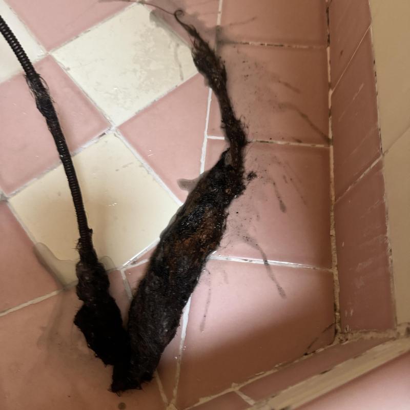Drain Cleaning in San Francisco, CA