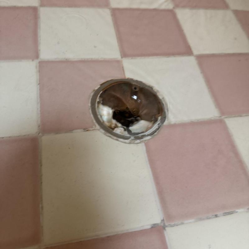 Completed Drain Cleaning service details