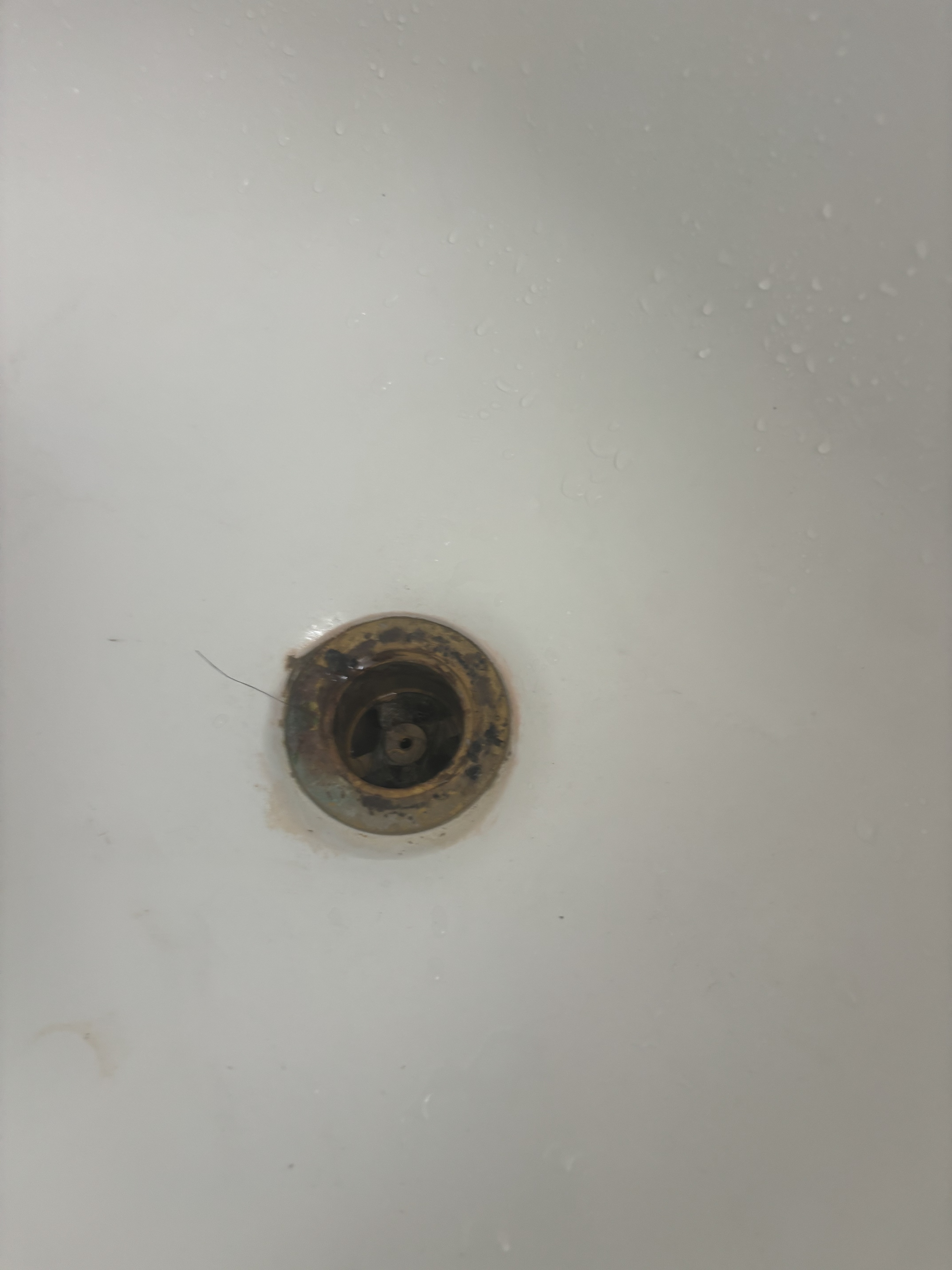 Drain cleaning in Berkeley by Heises Plumbing