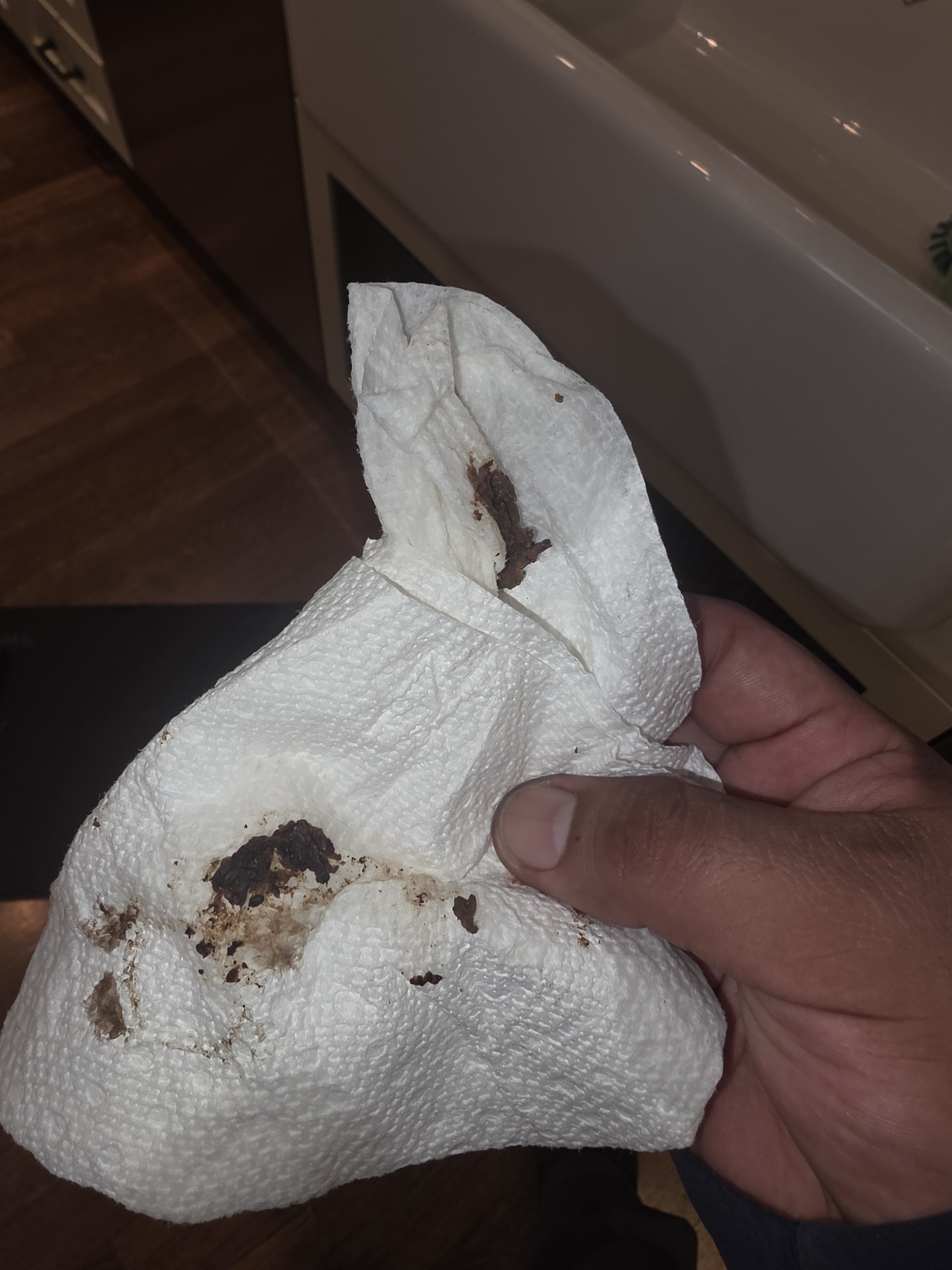 Drain Cleaning in Menlo Park, CA