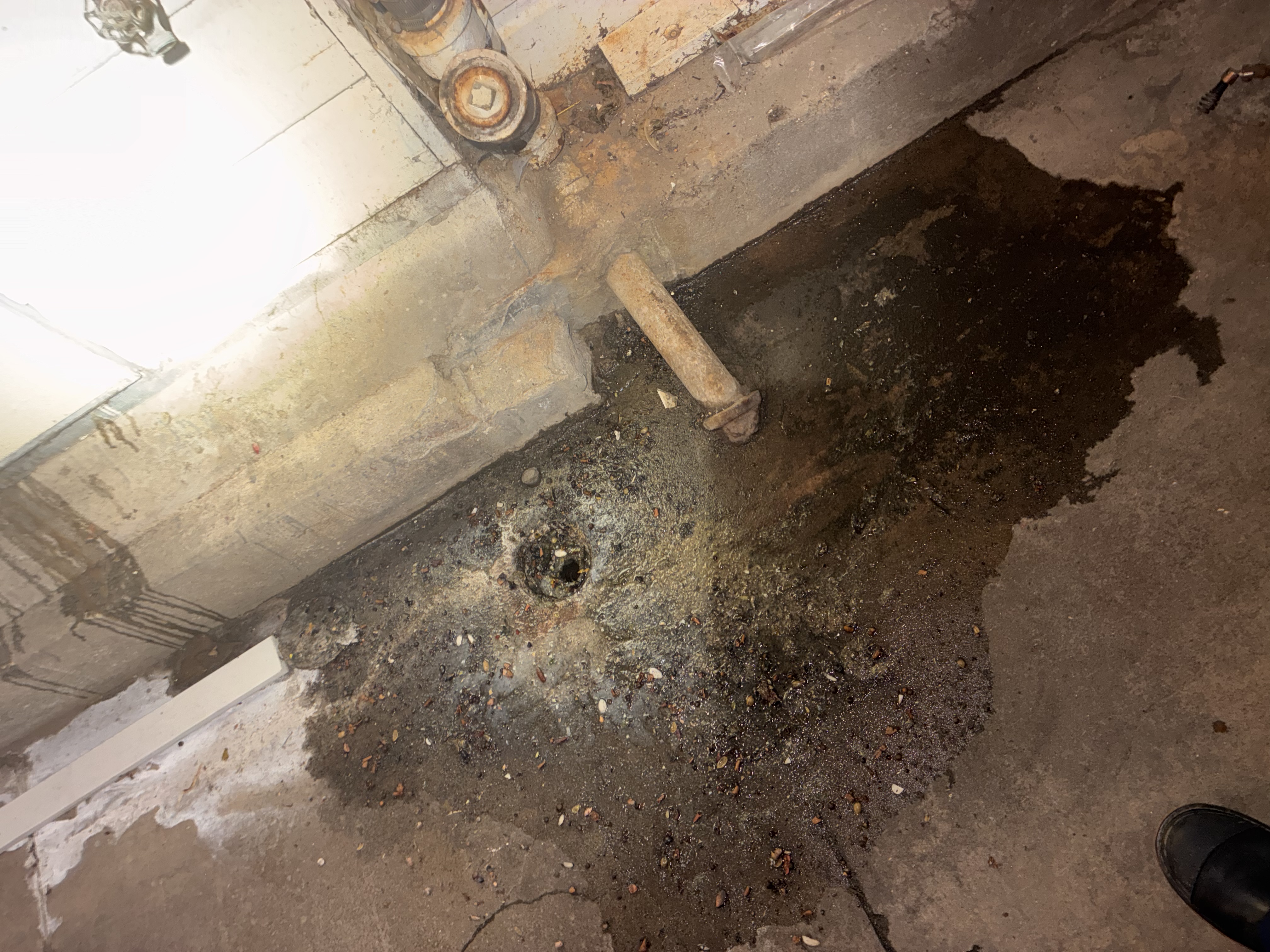 Drain Cleaning in San Francisco, CA