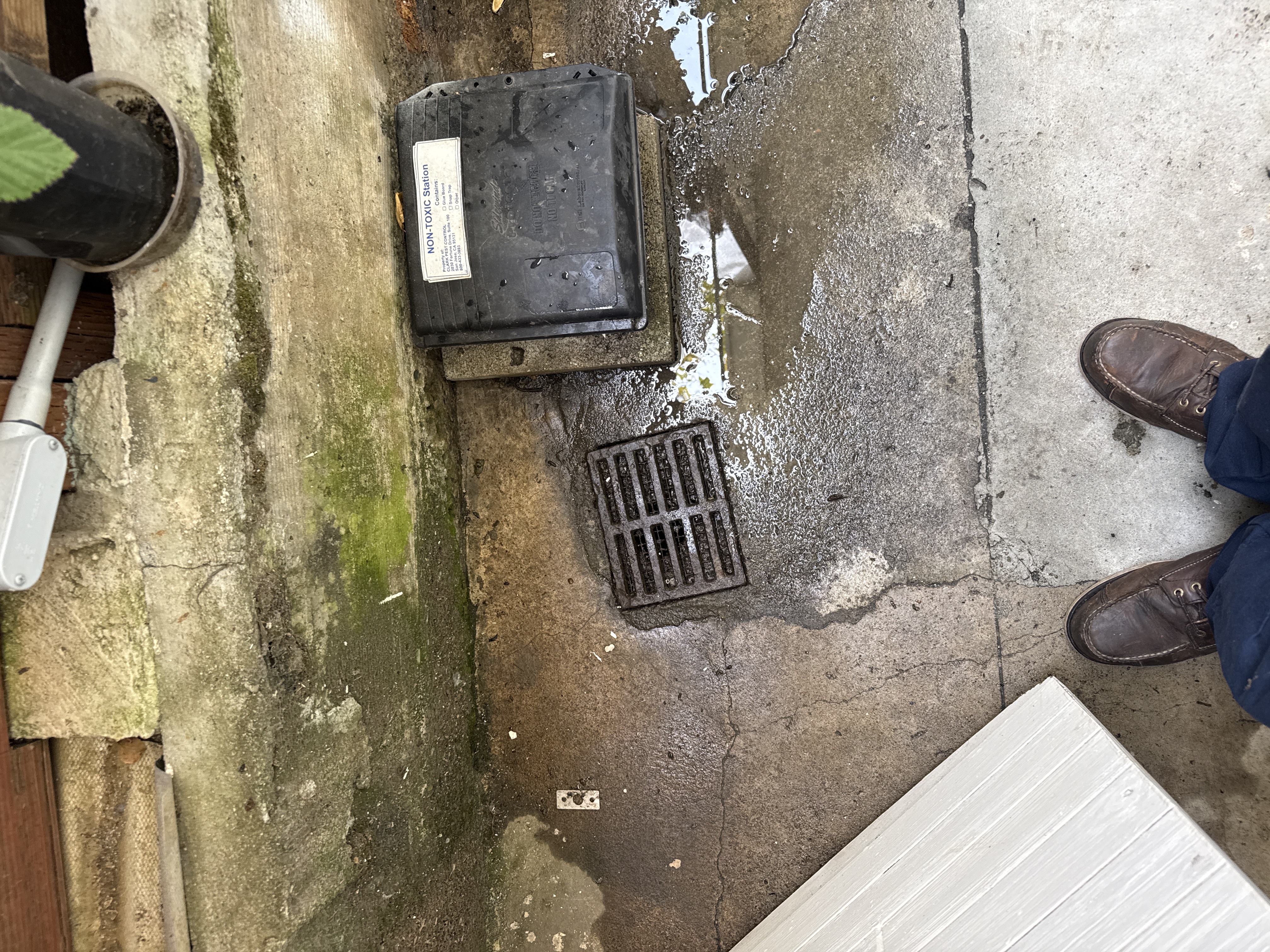 Drain cleaning in San Francisco by Heises Plumbing