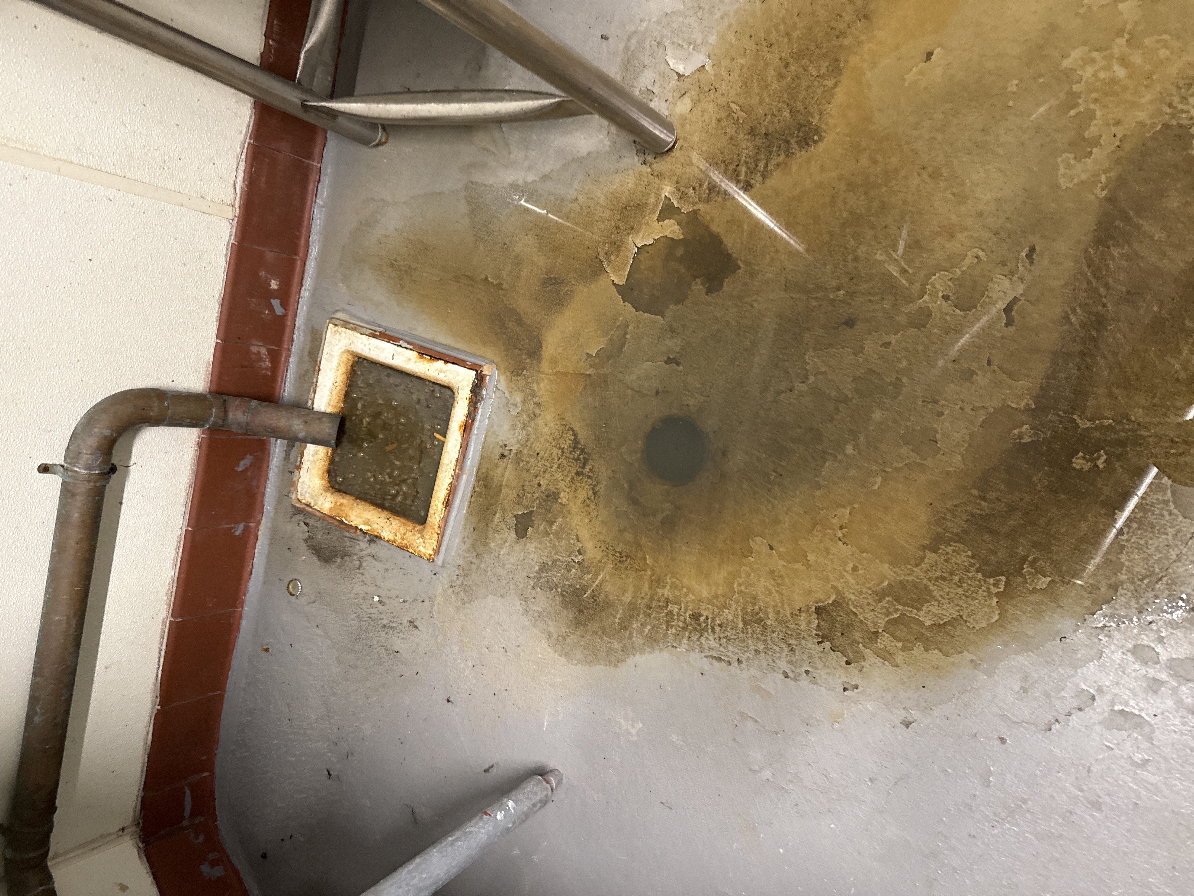 Drain Cleaning in San Francisco, CA