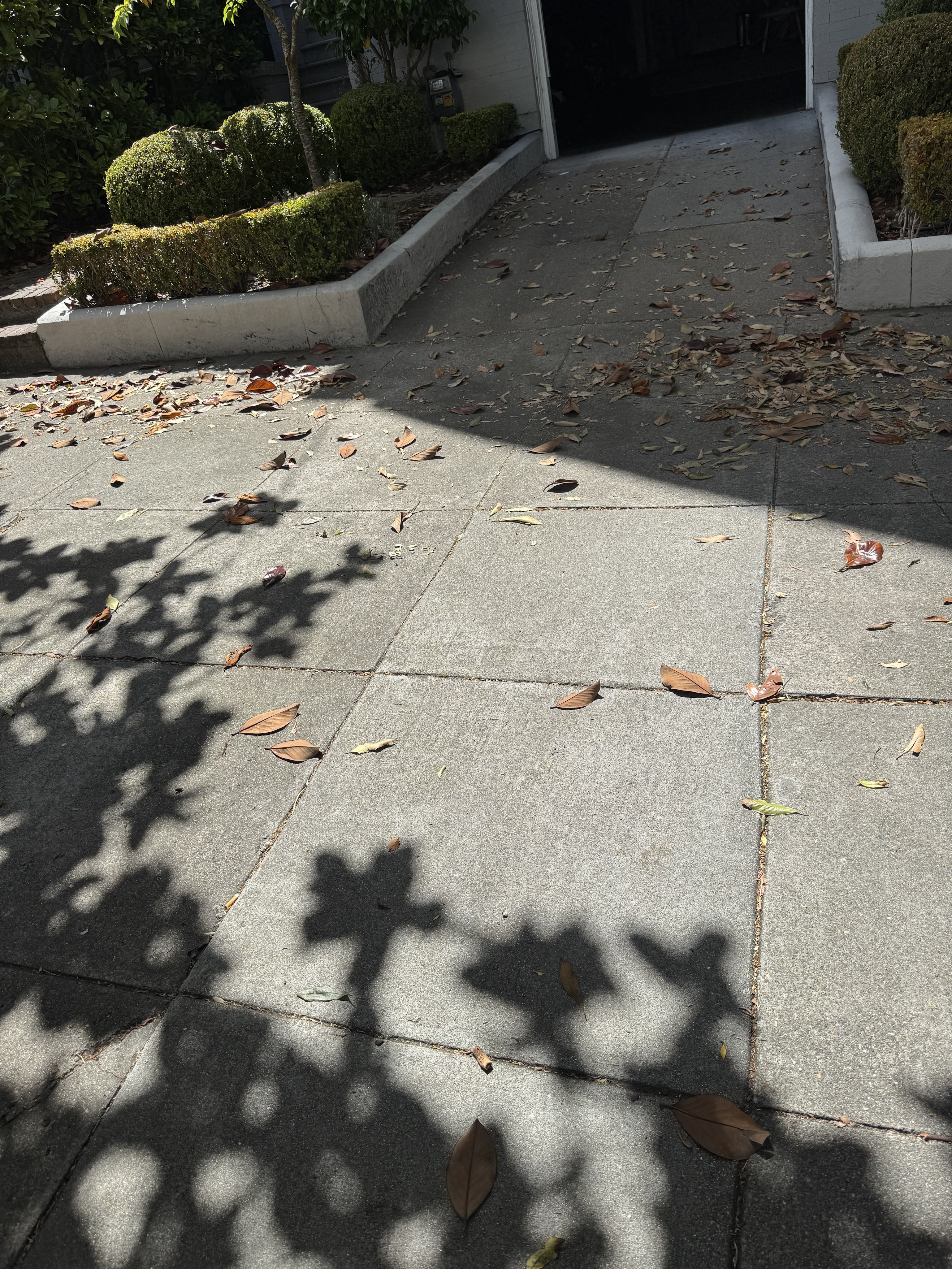 Drain cleaning in San Francisco by Heises Plumbing