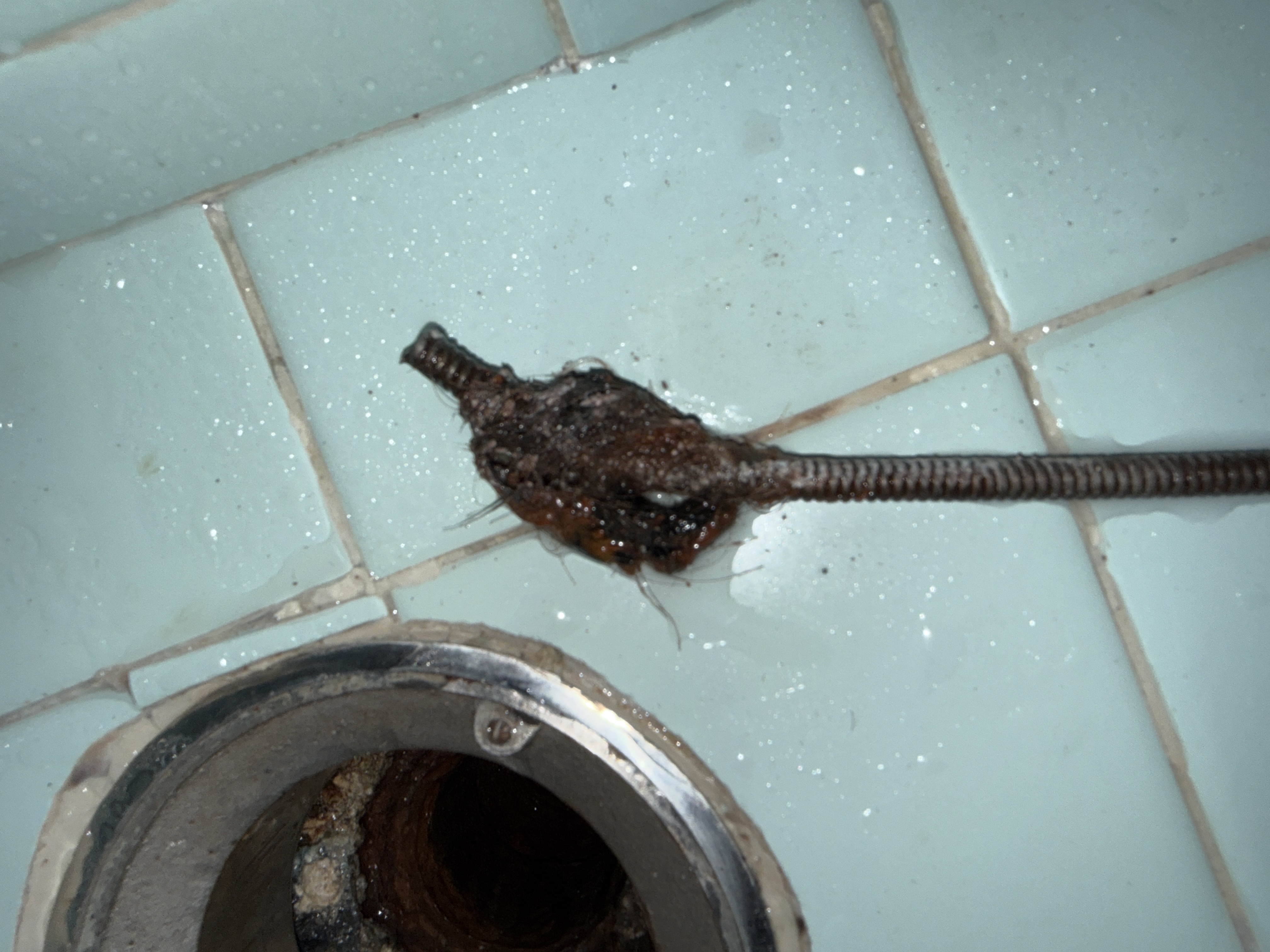 Drain cleaning in San Francisco by Heises Plumbing