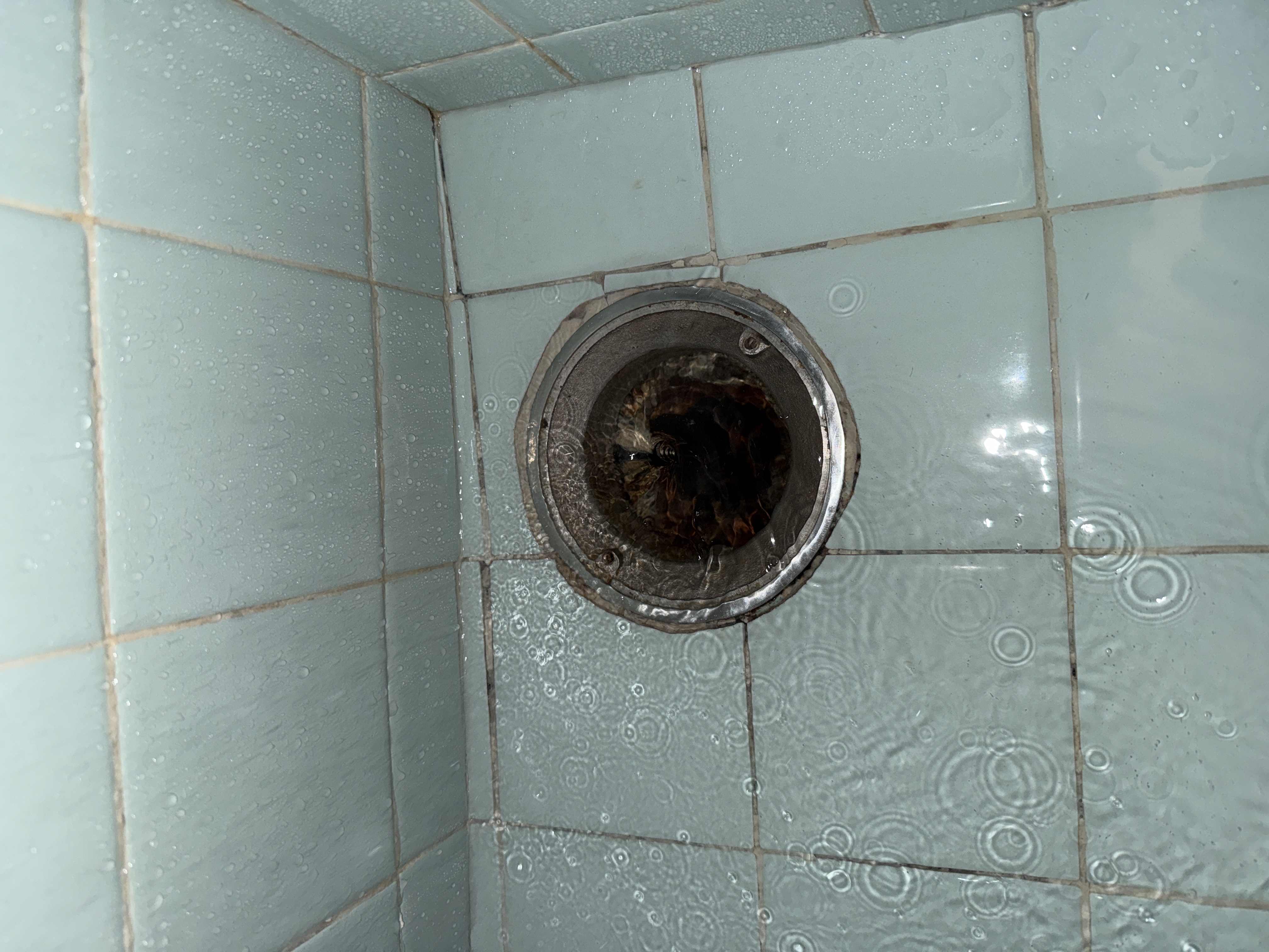 Drain cleaning in San Francisco by Heises Plumbing