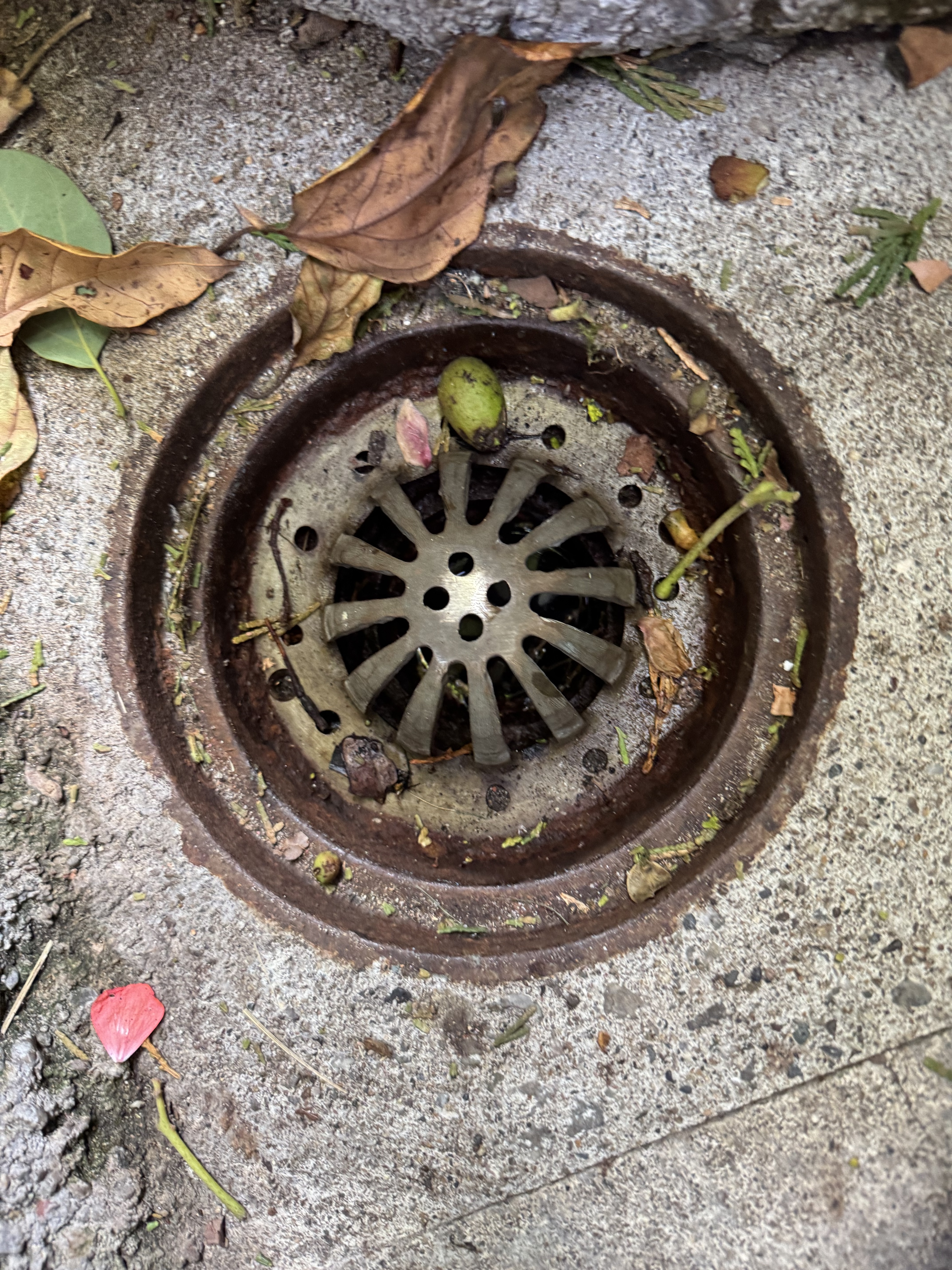 Drain cleaning in San Francisco by Heises Plumbing