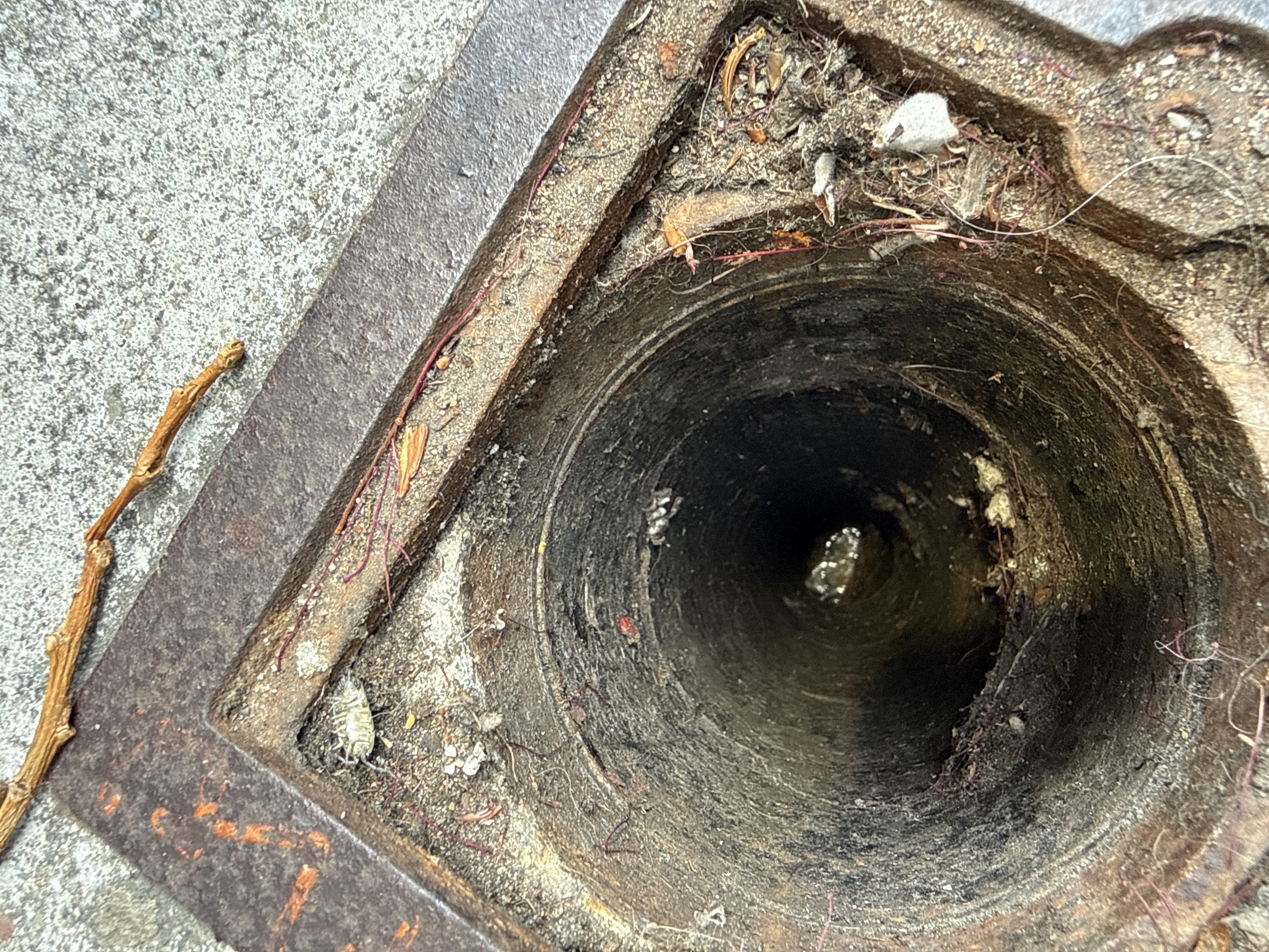 Drain cleaning in San Francisco by Heises Plumbing