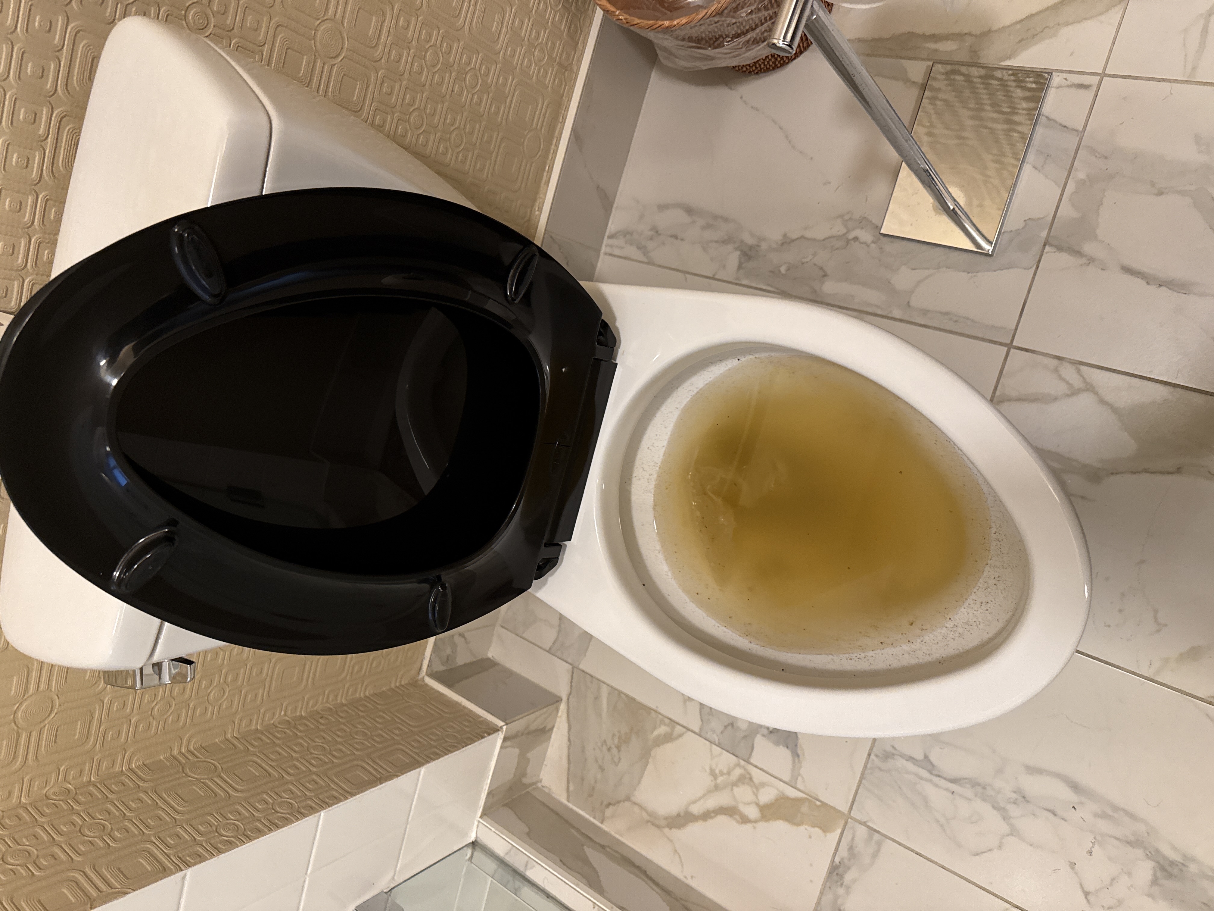 Drain Cleaning in San Francisco, CA