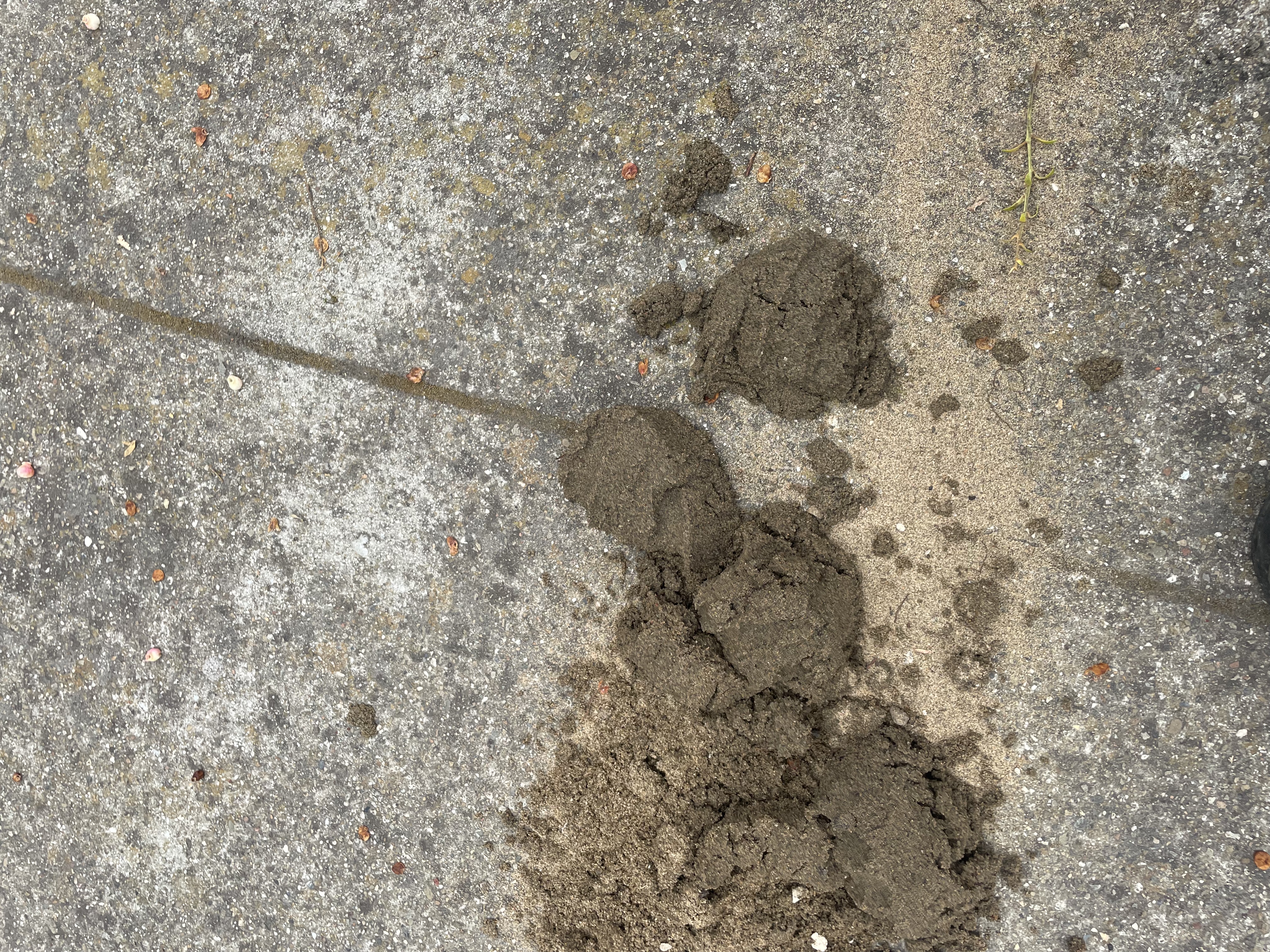 Drain cleaning in San Francisco by Heises Plumbing