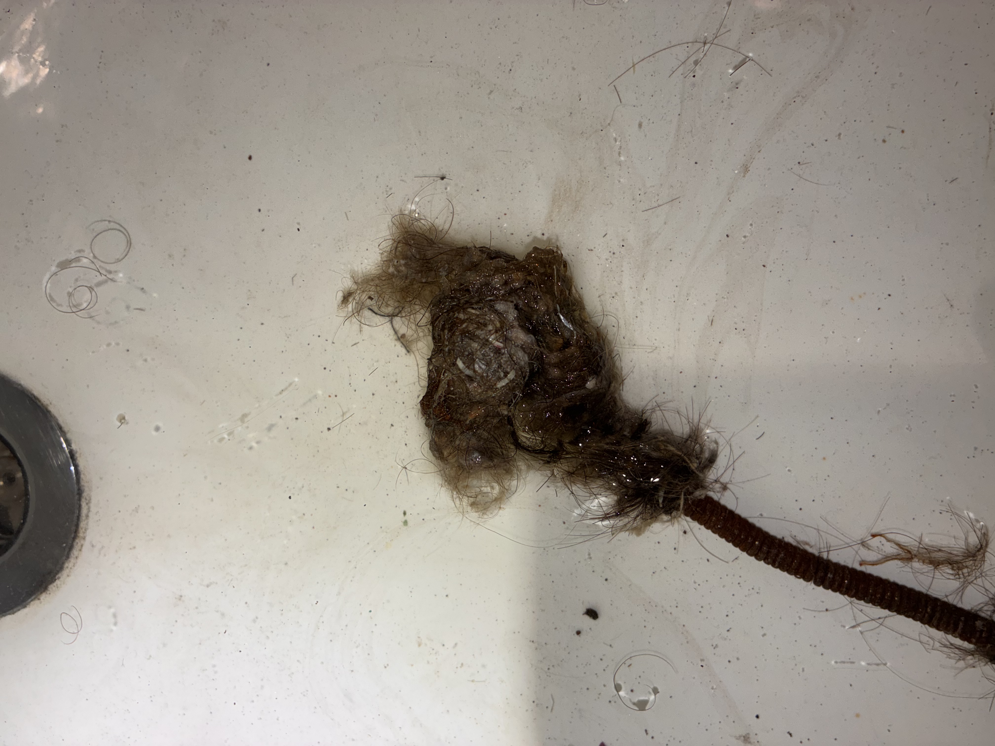 Drain Cleaning in San Francisco, CA by Heises Plumbing