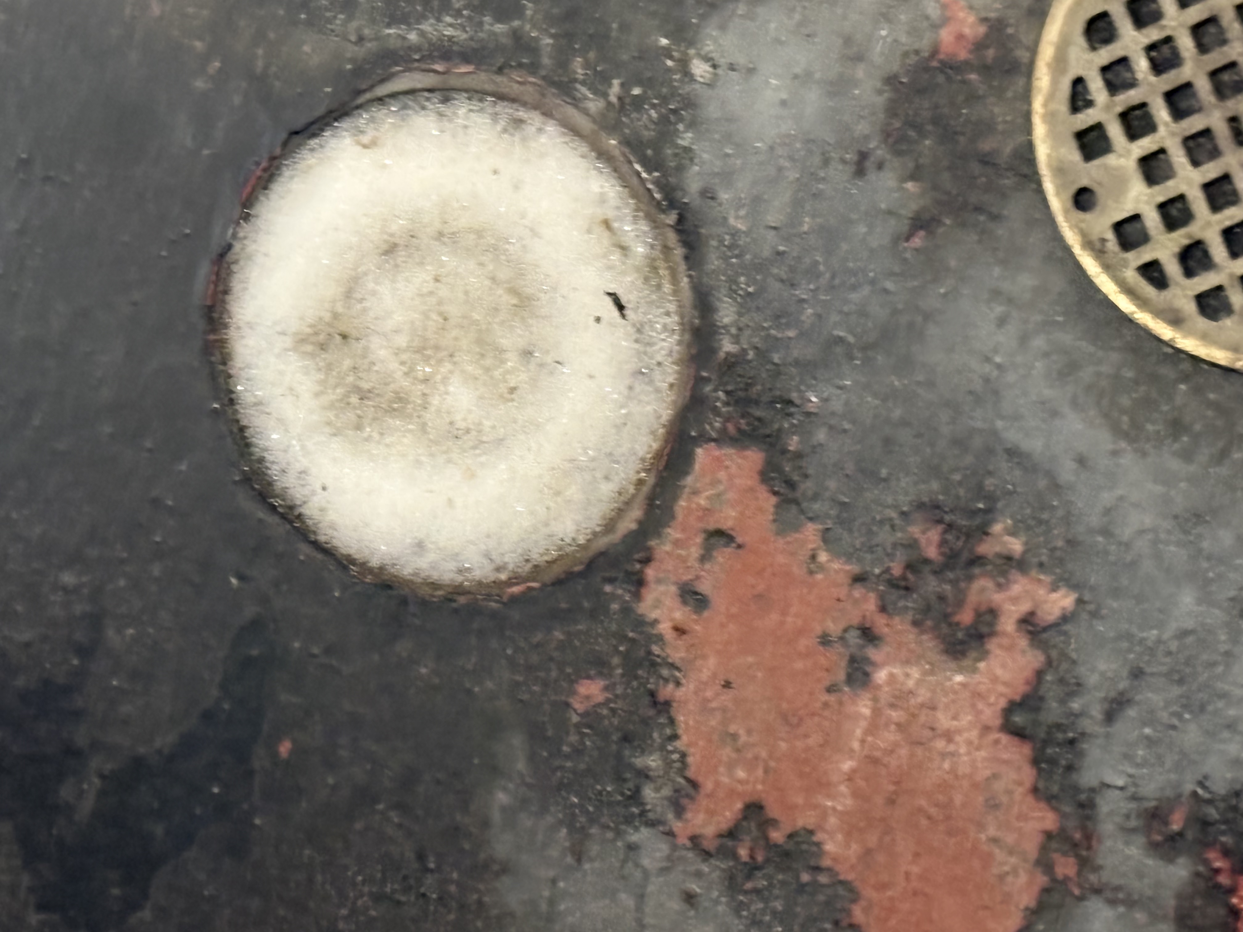 Drain Cleaning in San Jose, CA by Heises Plumbing