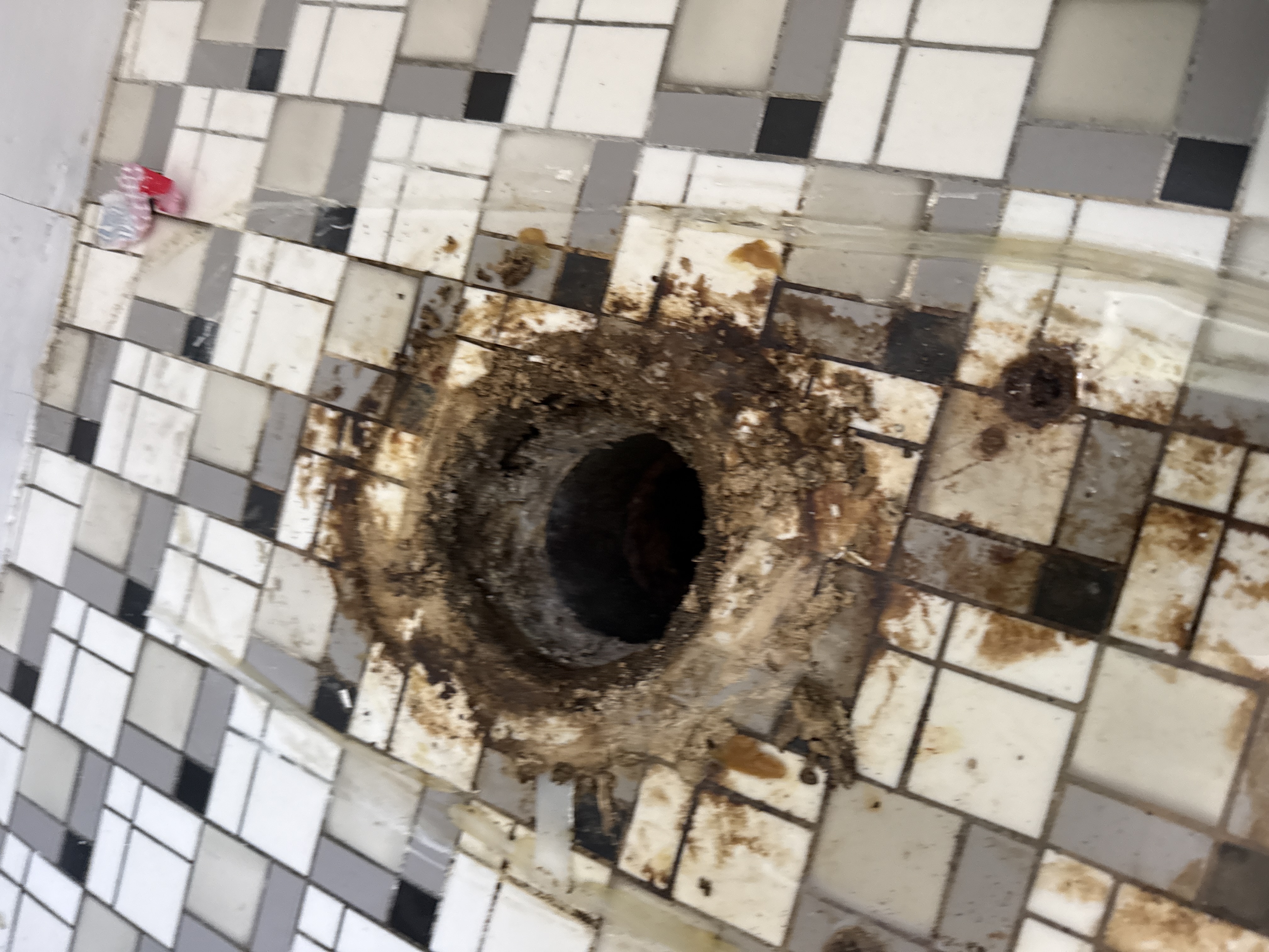 Drain Cleaning in South San Francisco, CA