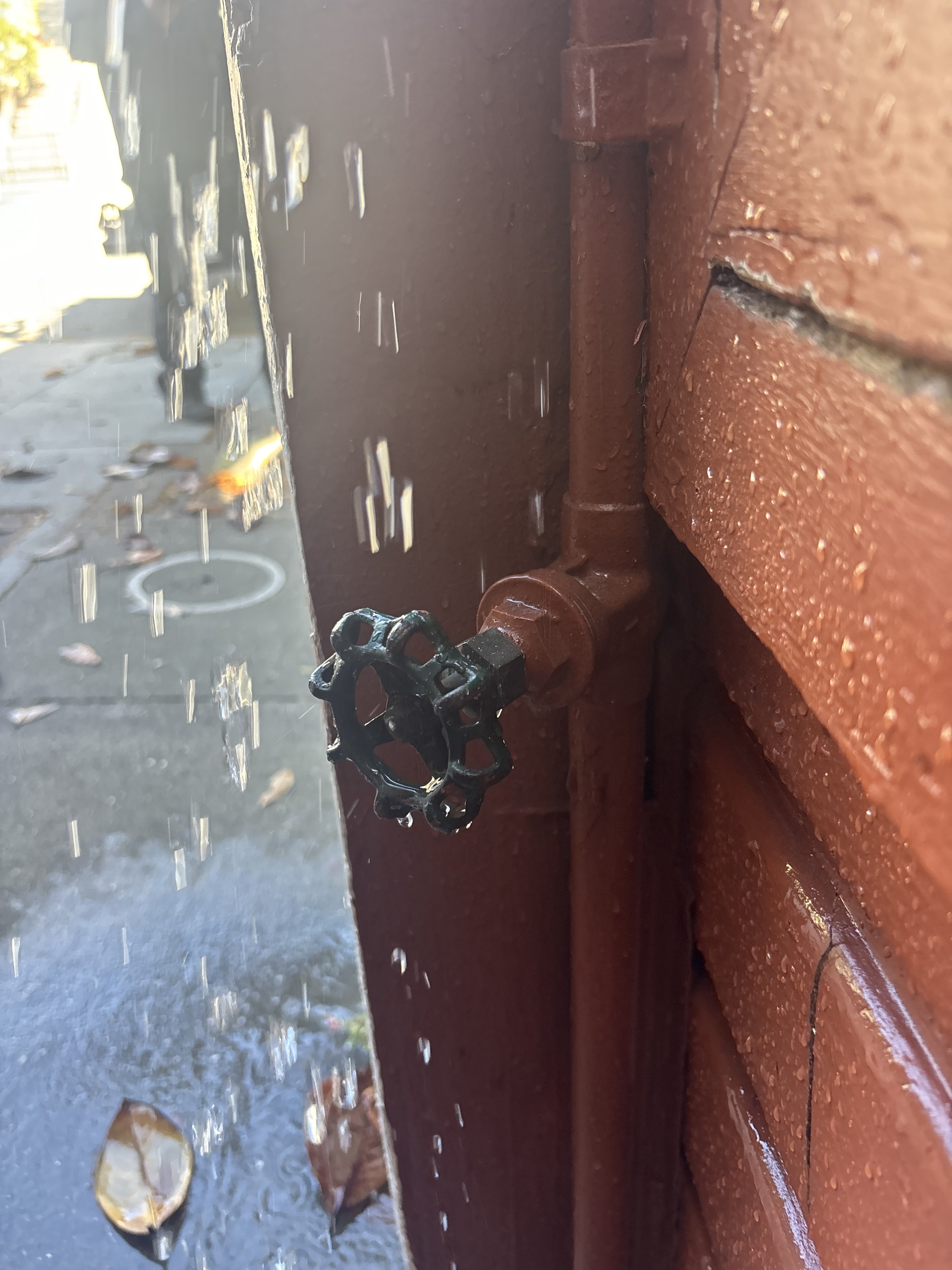 Technician inspecting cleanout and plumbing pipes in San Francisco