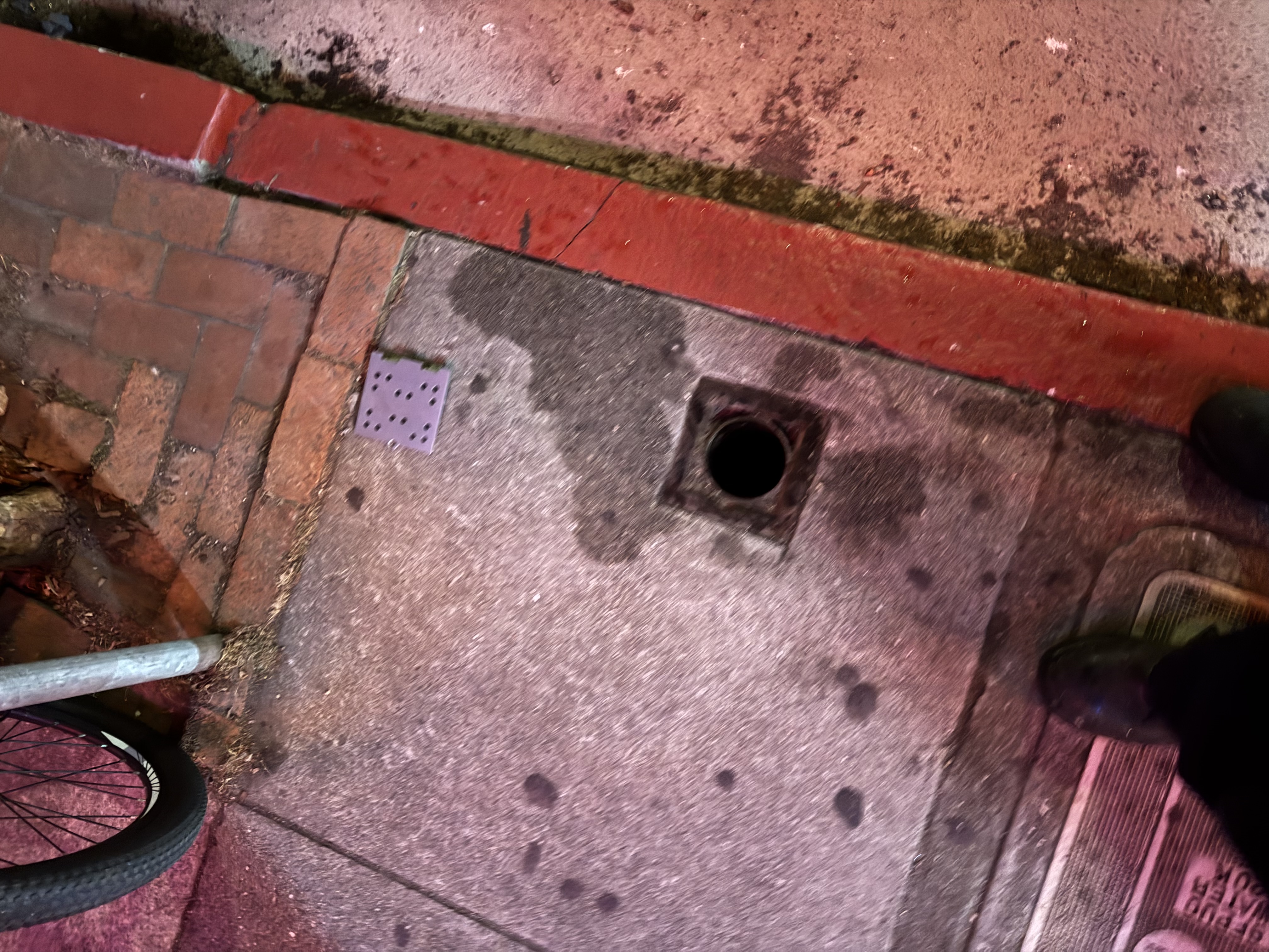 Unknown in San Francisco photo 1