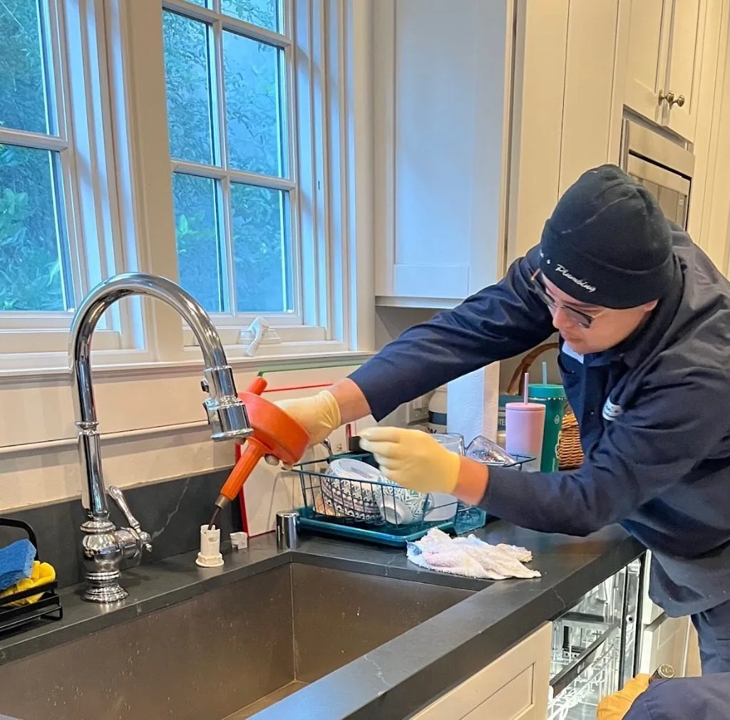 Modern stainless steel pull-down kitchen faucet installed by Heise's Plumbing