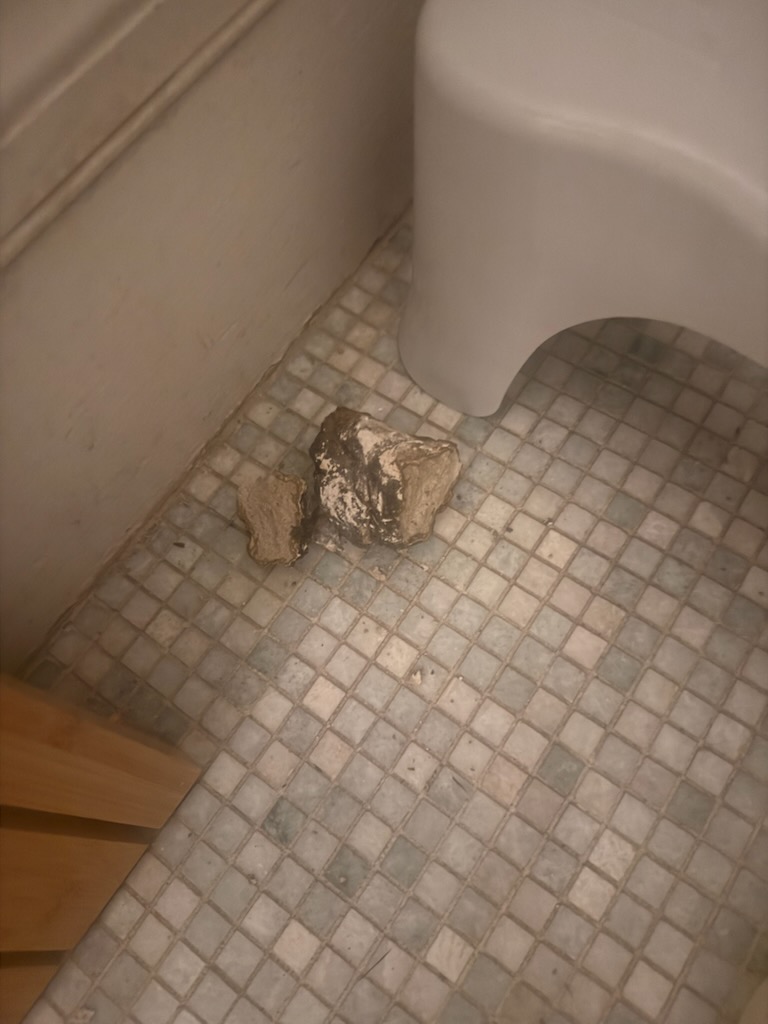 Leak Repair in San Francisco, CA