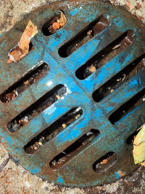 Technician inspecting cleanout and plumbing pipes in San Francisco