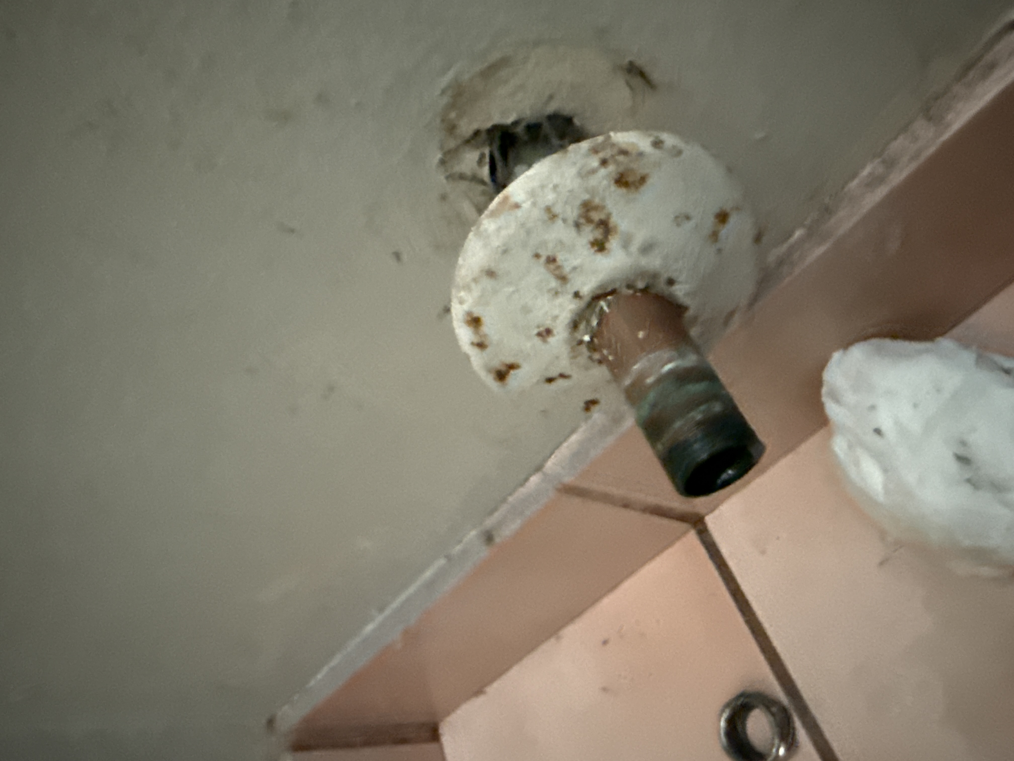 Plumbing fixture installation in Hillsborough by Heises Plumbing