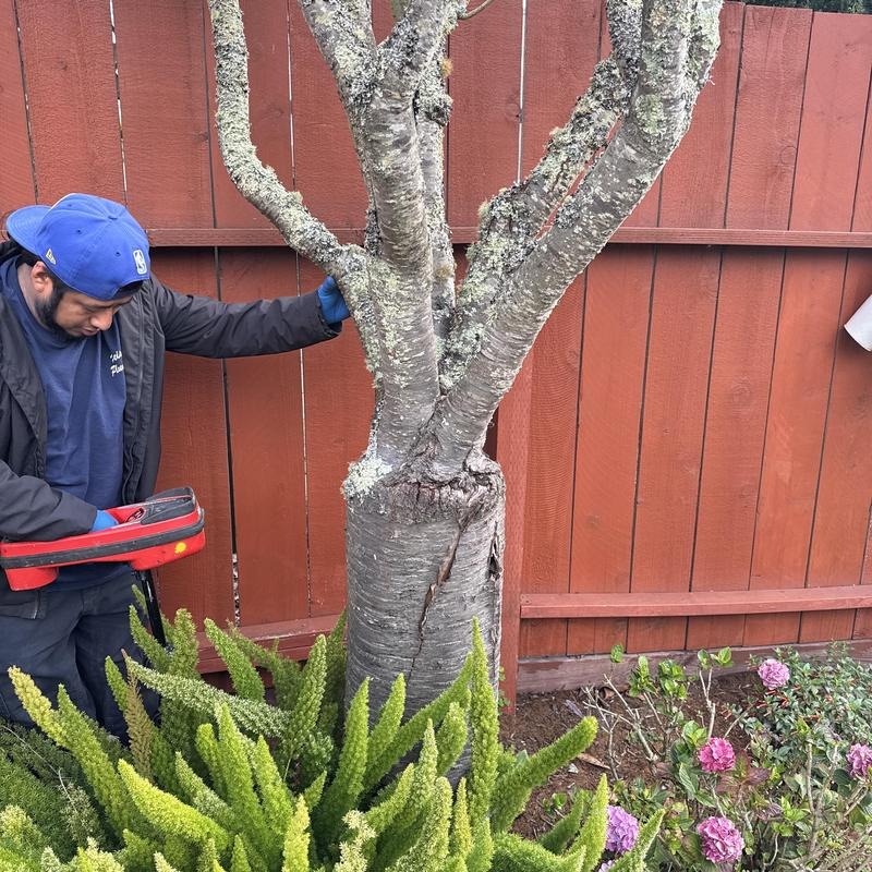Sewer line locating and inspection in San Francisco