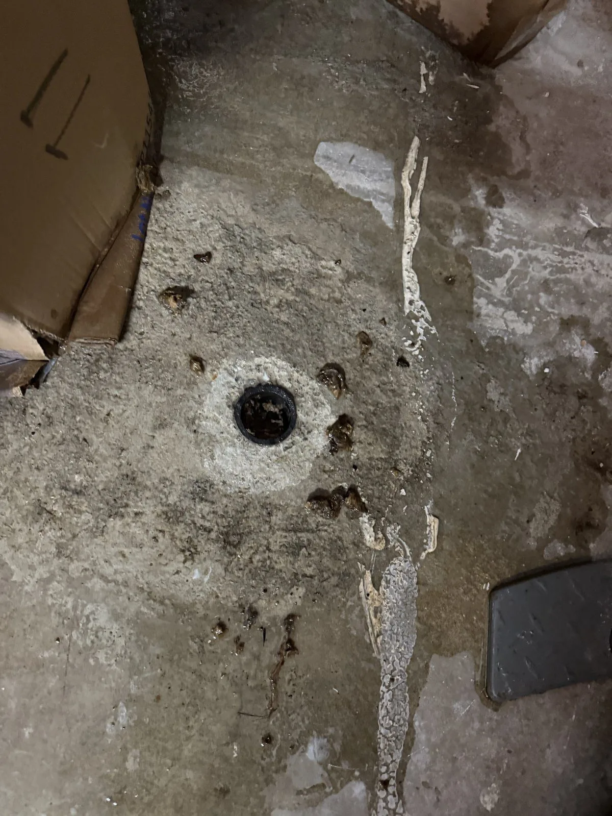 Sewer Line Snaking & Cleanout Repair in San Francisco, CA