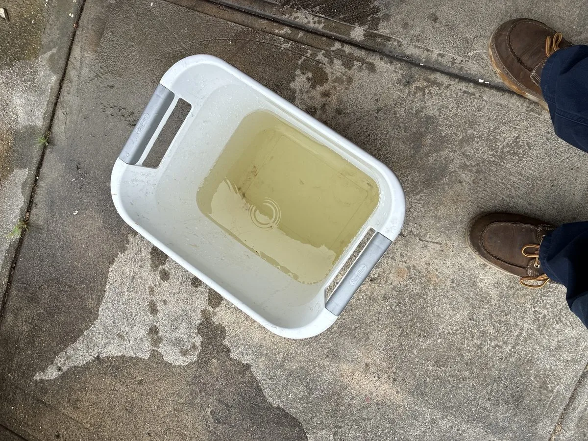 Water Heater Flush Removes Sediment and Restores Hot Water Performance in Sunset District