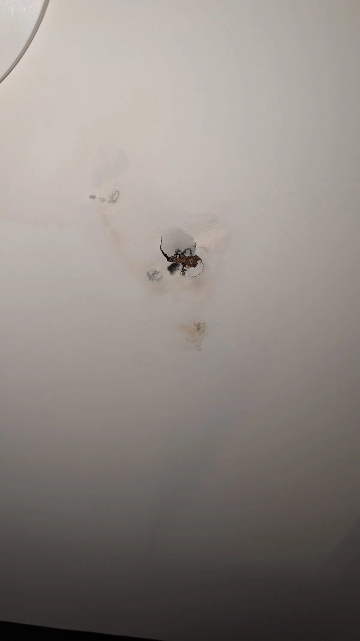 Technician inspecting cleanout and plumbing pipes in San Francisco