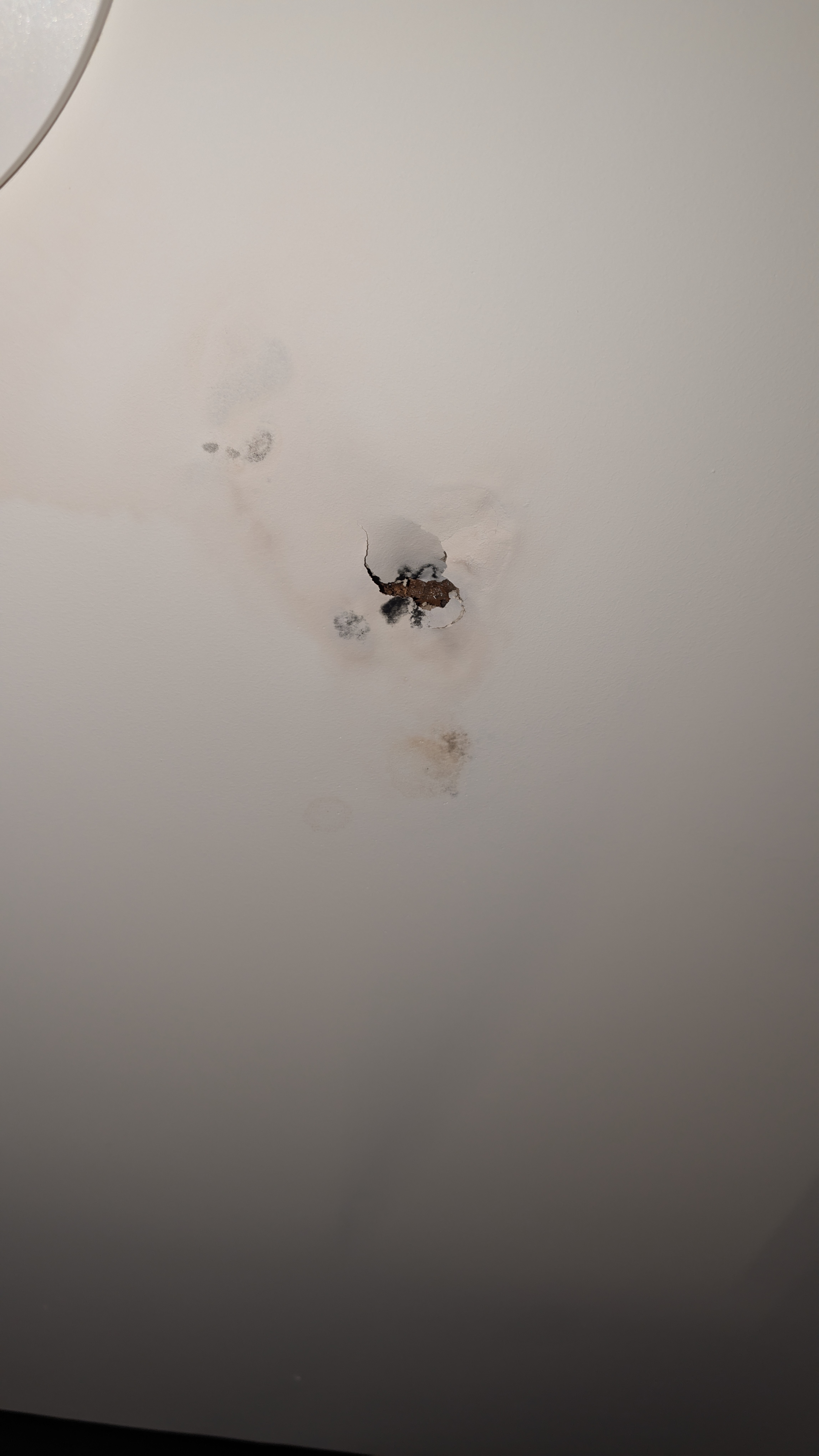 Water heater repair in San Francisco by Heises Plumbing