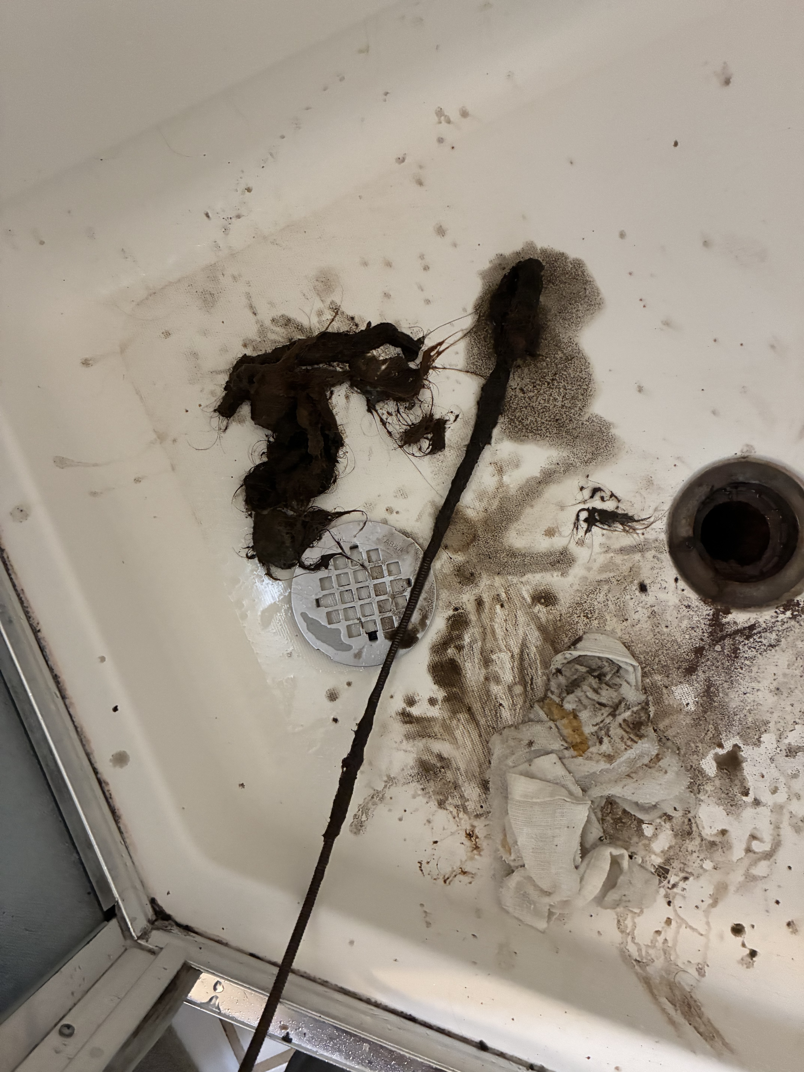 Drain Cleaning in Ingleside Terraces, San Francisco