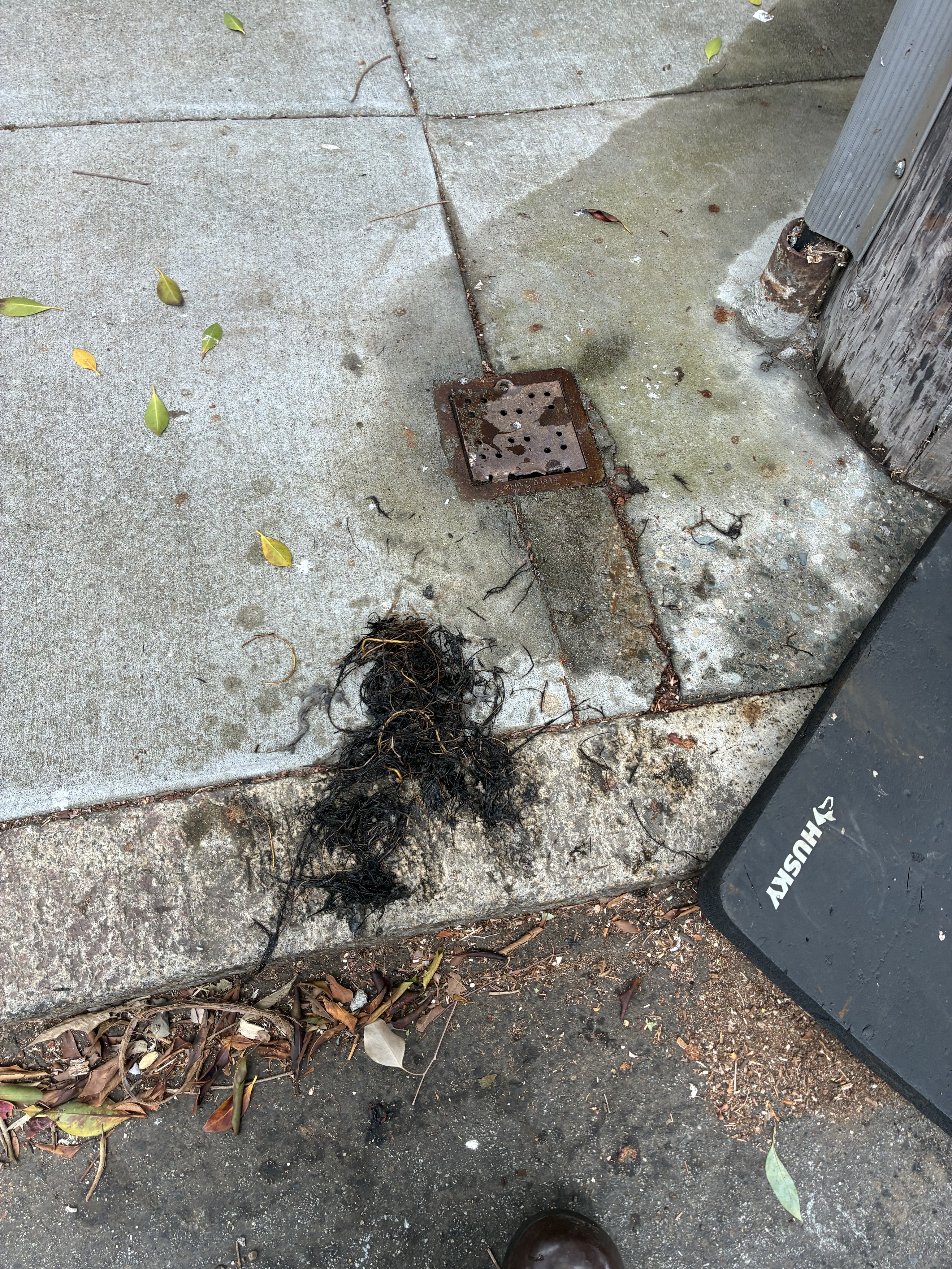 Hydro Jetting in Bernal Heights, San Francisco