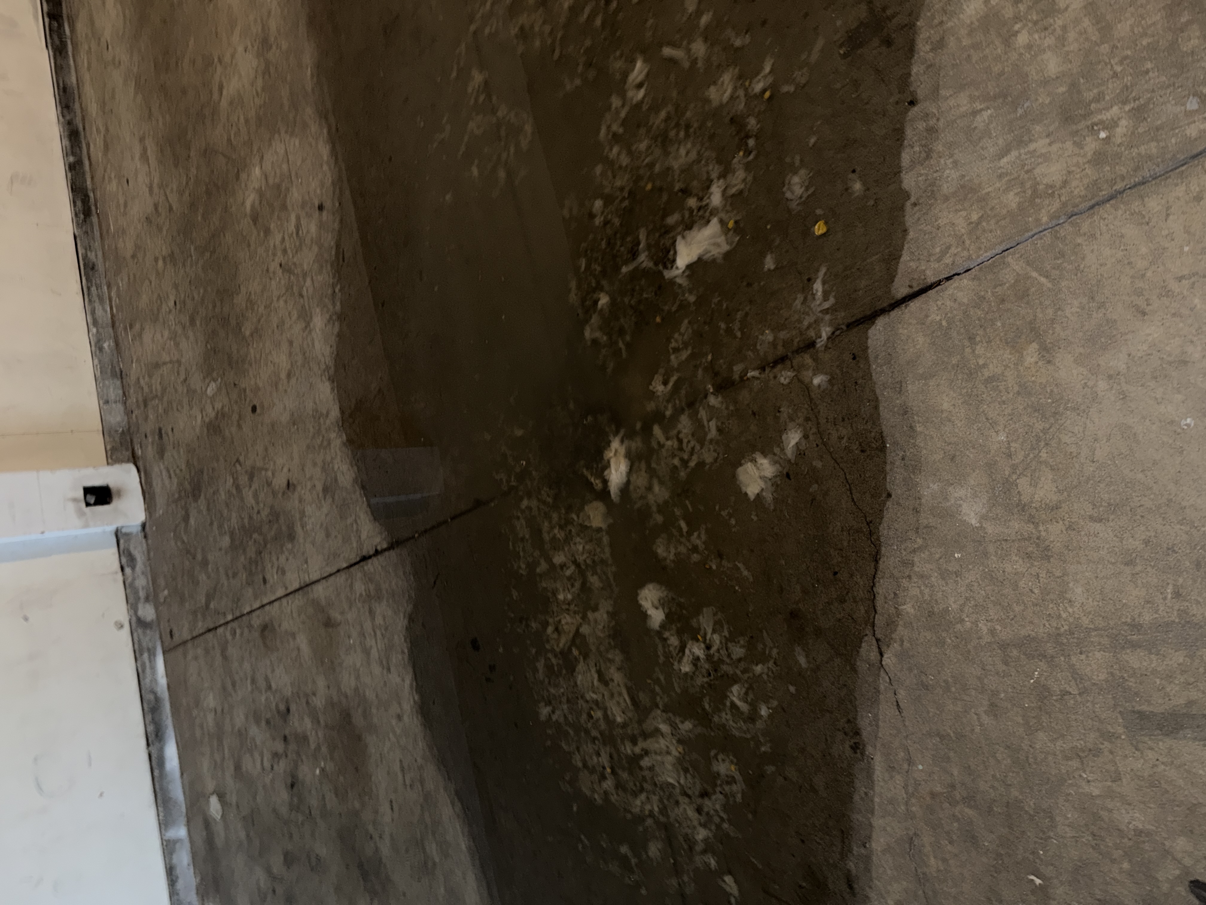 Hydro Jetting in Daly City - Heises Plumbing